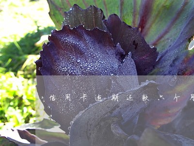 信用卡逾期还款六个月后果 信用卡逾期还款六个月后果