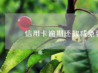 信用卡逾期还款减免要3个月 信用卡逾期还款减免要3个月