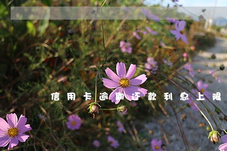 信用卡逾期还款利息上限 信用卡逾期还款利息上限