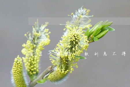 信用卡逾期还款利息不得超过