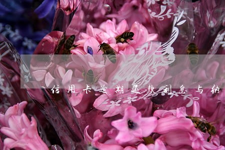 信用卡逾期还款利息与纳金