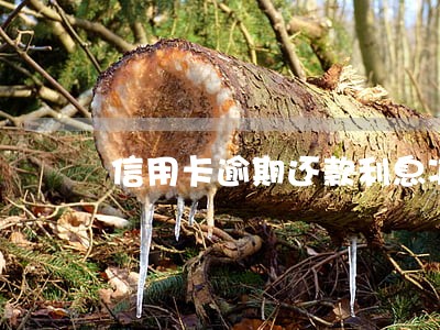 信用卡逾期还款利息减免 信用卡逾期还款利息减免