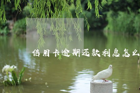 信用卡逾期还款利息怎么算利息 信用卡逾期还款利息怎么算利息