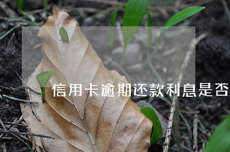 信用卡逾期还款利息是否可以减免 信用卡逾期还款利息是否可以减免