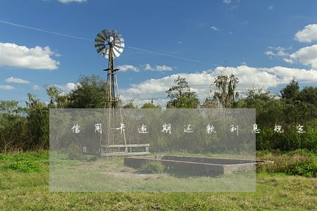 信用卡逾期还款利息规定 信用卡逾期还款利息规定