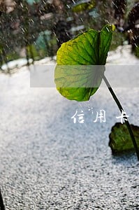 信用卡逾期还款利息计算 信用卡逾期还款利息计算