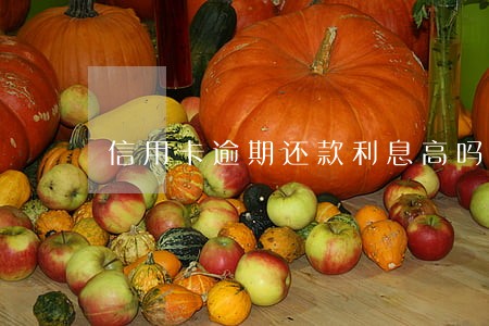 信用卡逾期还款利息高吗 信用卡逾期还款利息高吗