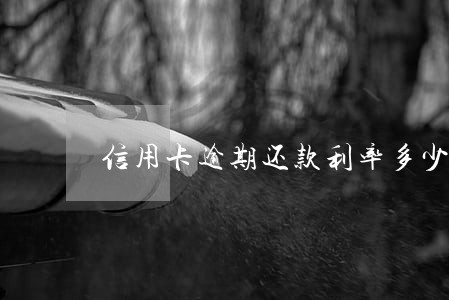 信用卡逾期还款利率多少 信用卡逾期还款利率多少