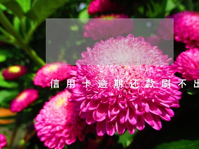 信用卡逾期还款刷不出来怎么办 信用卡逾期还款刷不出来怎么办