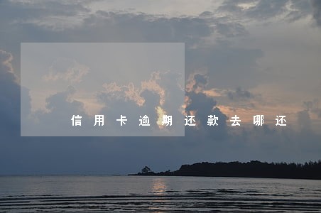 信用卡逾期还款去哪还