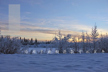 信用卡逾期还款可以买车吗 信用卡逾期还款可以买车吗
