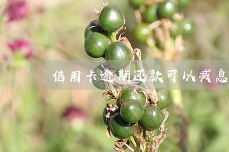 信用卡逾期还款可以减息吗
