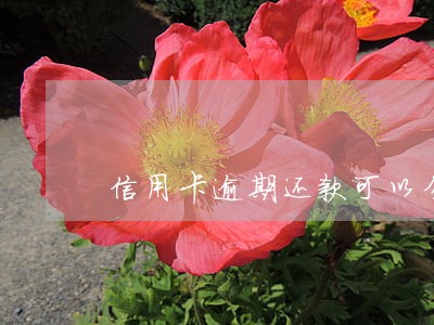 信用卡逾期还款可以分多少期