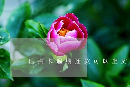 信用卡逾期还款可以坐房贷 信用卡逾期还款可以坐房贷
