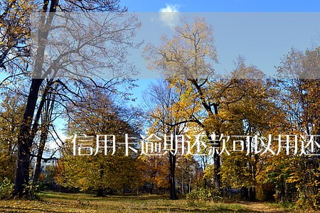 信用卡逾期还款可以用还呗吗 信用卡逾期还款可以用还呗吗