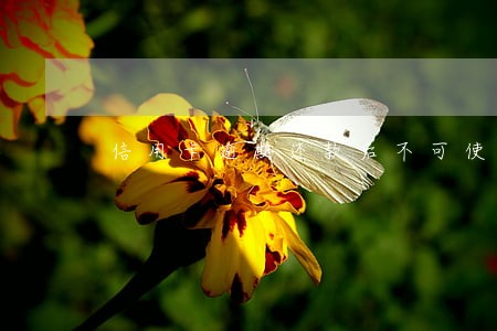 信用卡逾期还款后不可使用 信用卡逾期还款后不可使用