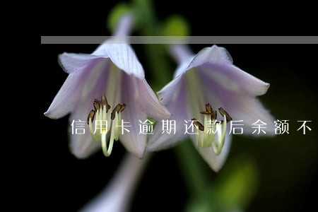 信用卡逾期还款后余额不足 信用卡逾期还款后余额不足