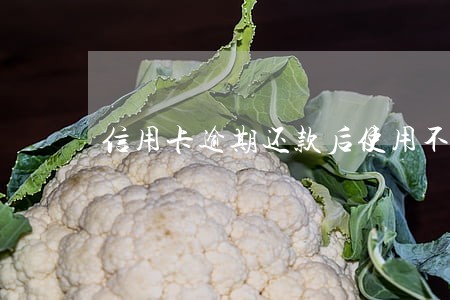 信用卡逾期还款后使用不了了 信用卡逾期还款后使用不了了