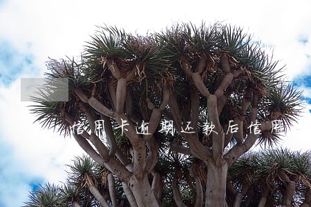信用卡逾期还款后信用记录 信用卡逾期还款后信用记录