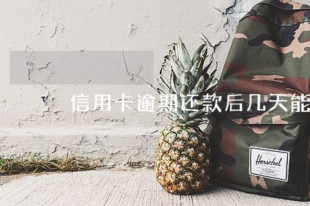 信用卡逾期还款后几天能恢复 信用卡逾期还款后几天能恢复
