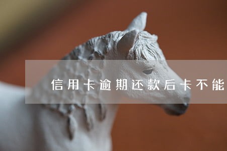 信用卡逾期还款后卡不能用了 信用卡逾期还款后卡不能用了