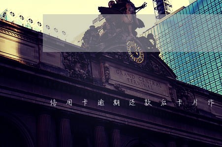 信用卡逾期还款后卡片作废了 信用卡逾期还款后卡片作废了