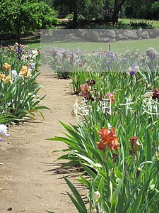 信用卡逾期还款后卡片异常