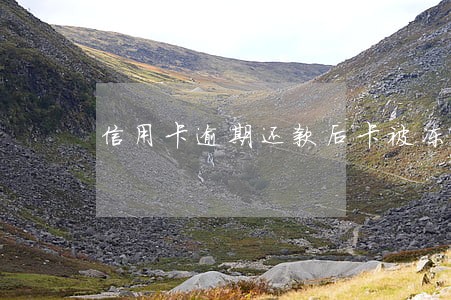 信用卡逾期还款后卡被冻结怎么办