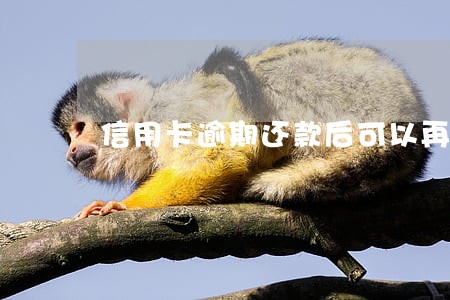 信用卡逾期还款后可以再借吗 信用卡逾期还款后可以再借吗