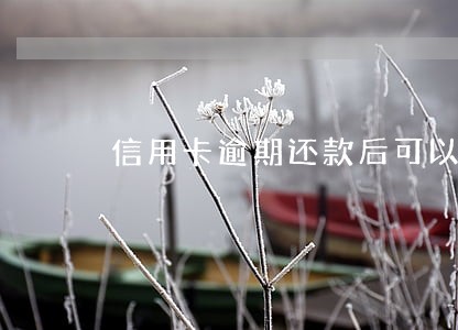 信用卡逾期还款后可以立即使用吗 信用卡逾期还款后可以立即使用吗
