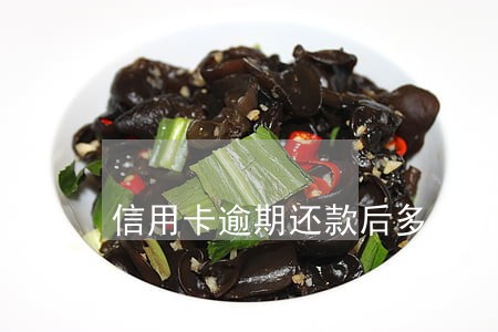 信用卡逾期还款后多久再用吗 信用卡逾期还款后多久再用吗