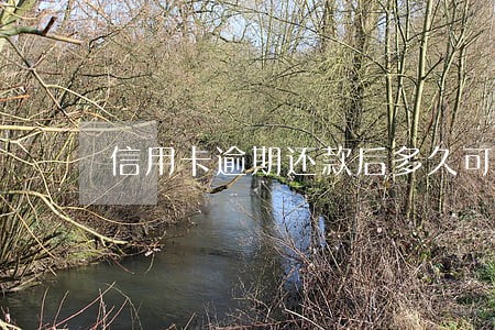信用卡逾期还款后多久可以刷