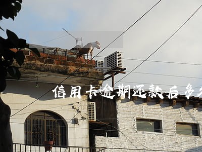信用卡逾期还款后多久更新 信用卡逾期还款后多久更新