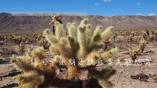 信用卡逾期还款后多久能协商 信用卡逾期还款后多久能协商