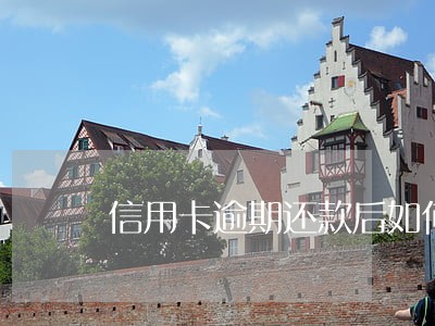 信用卡逾期还款后如何解决 信用卡逾期还款后如何解决