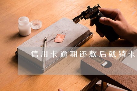 信用卡逾期还款后就销卡 信用卡逾期还款后就销卡