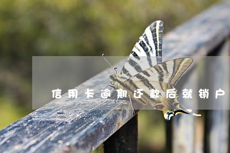 信用卡逾期还款后就销户 信用卡逾期还款后就销户