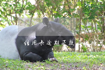 信用卡逾期还款后当时可以取钱吗