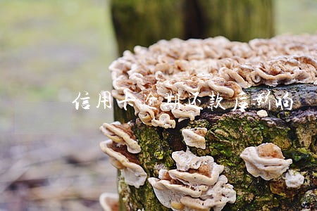信用卡逾期还款后影响