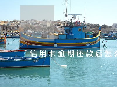 信用卡逾期还款后怎么付不了 信用卡逾期还款后怎么付不了