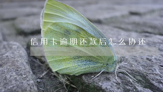 信用卡逾期还款后怎么协还 信用卡逾期还款后怎么协还