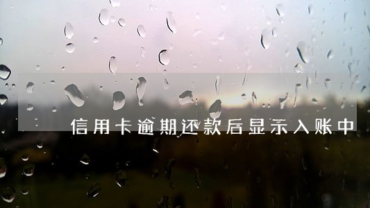 信用卡逾期还款后显示入账中 信用卡逾期还款后显示入账中