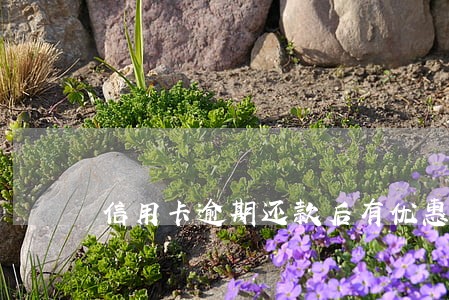 信用卡逾期还款后有优惠金 信用卡逾期还款后有优惠金