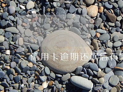 信用卡逾期还款后有哪些影响