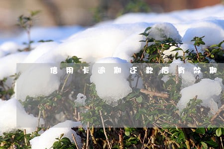 信用卡逾期还款后有效期