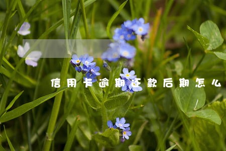 信用卡逾期还款后期怎么办 信用卡逾期还款后期怎么办