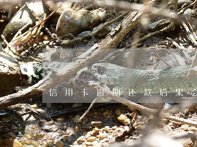 信用卡逾期还款后果会怎么处理 信用卡逾期还款后果会怎么处理