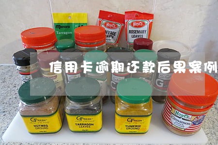 信用卡逾期还款后果案例