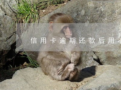 信用卡逾期还款后用不了了 信用卡逾期还款后用不了了