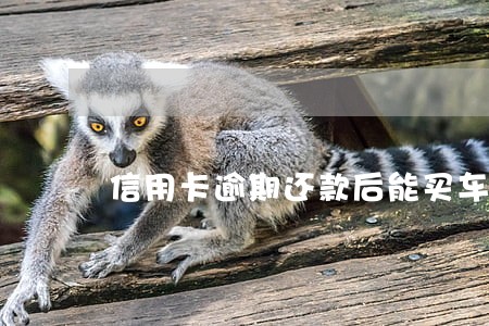 信用卡逾期还款后能买车吗 信用卡逾期还款后能买车吗